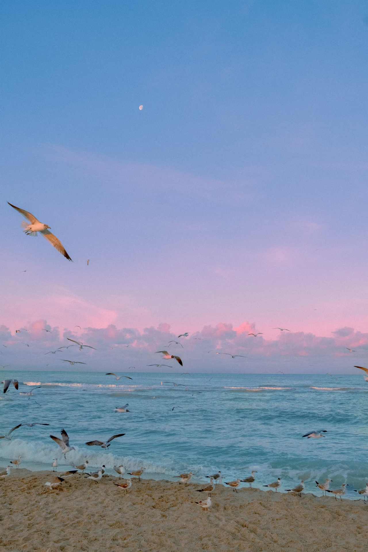 Coastal Serenity